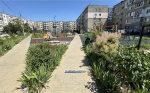 Керчане озеленяют отремонтированный двор (фото)
