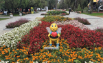 Картинки из Симферополя (фото)