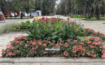 Картинки из Симферополя (фото)